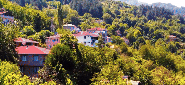 Muhtarlık Tanıtım